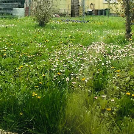 Ferienwohnung Feldmann Freckenfeld Екстериор снимка