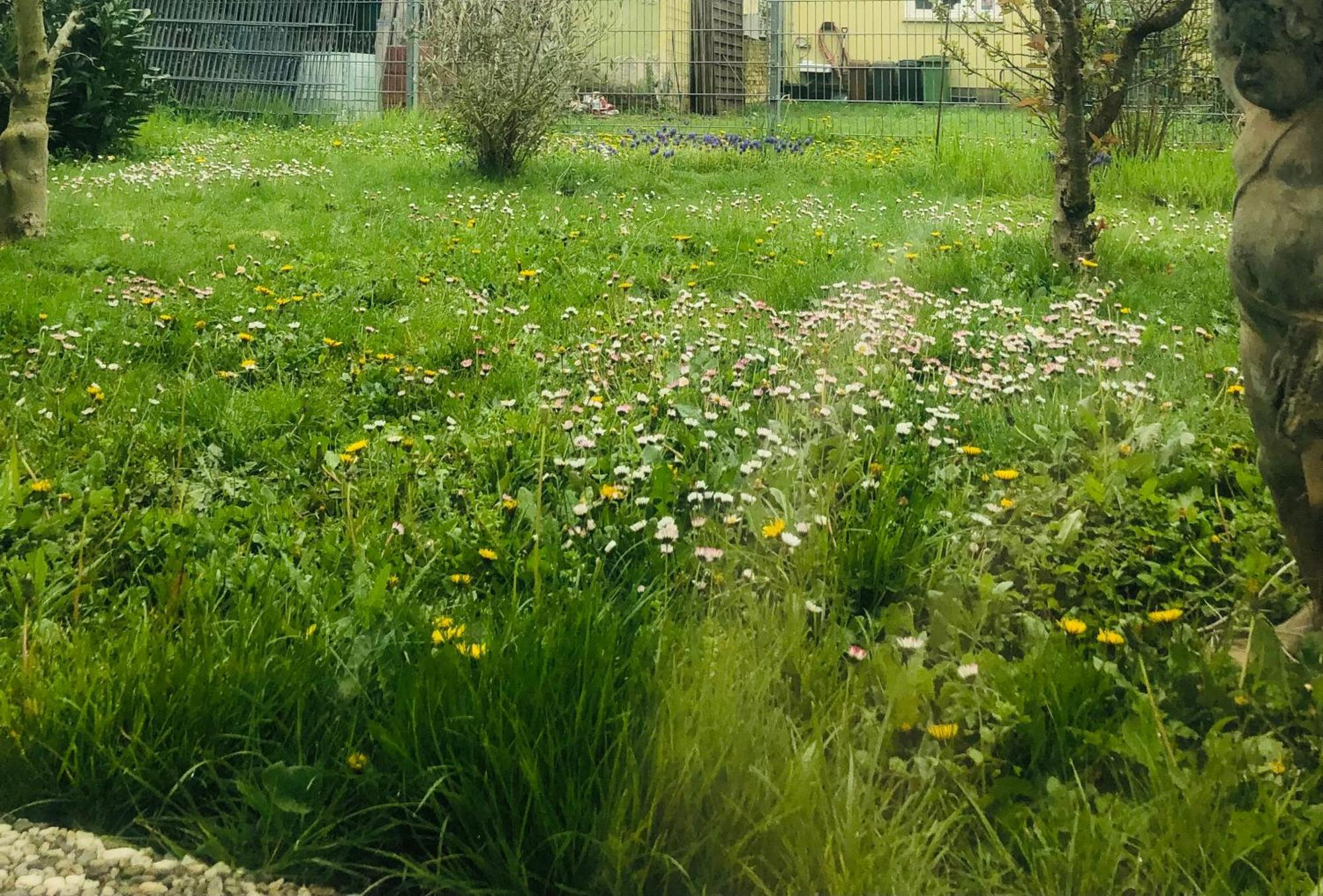 Ferienwohnung Feldmann Freckenfeld Екстериор снимка