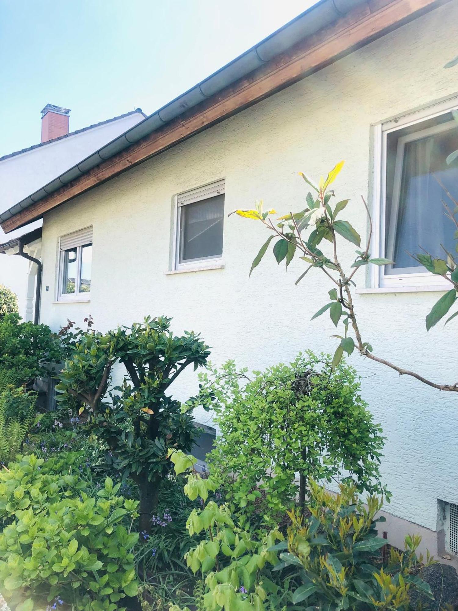 Ferienwohnung Feldmann Freckenfeld Екстериор снимка